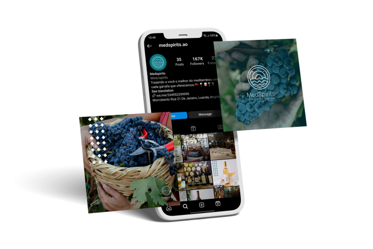 Building MedSpirits’ Online Brand Presence